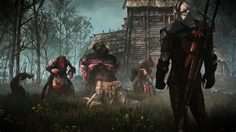 witcher 3 crones decision.